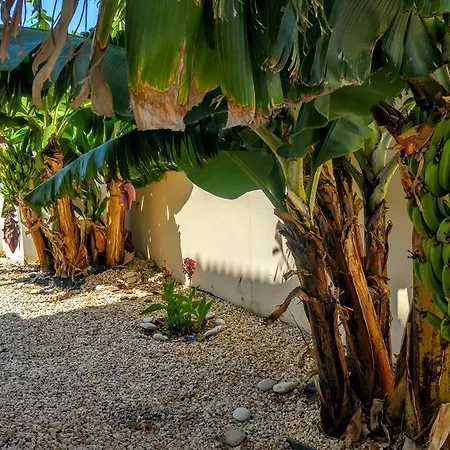 Banana House *